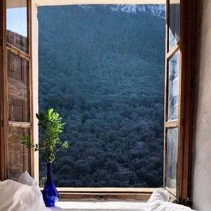 Meet your Posher, Stel